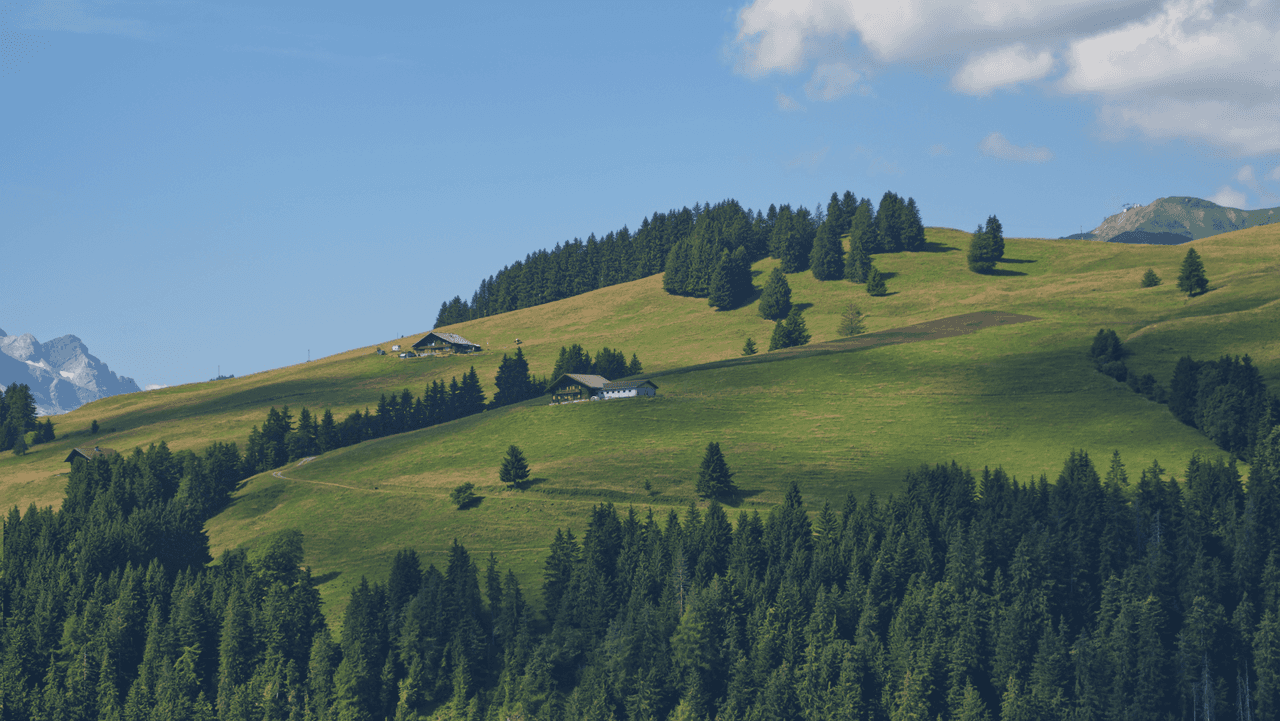 Absak supporting visual 2